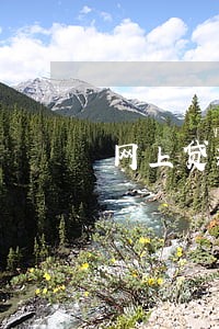 网上贷款 逾期短信 告 网上贷款 逾期短信 告